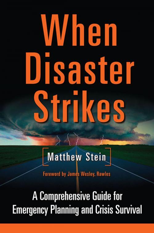 Cover of the book When Disaster Strikes by Matthew Stein, Chelsea Green Publishing