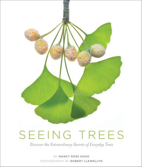 Cover of the book Seeing Trees by Nancy Ross Hugo, Robert Llewellyn, Timber Press