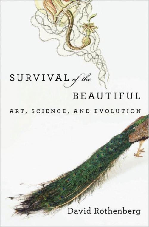 Cover of the book Survival of the Beautiful by David Rothenberg, Bloomsbury Publishing