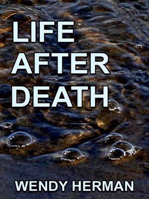 Cover of the book Life After Death by Wendy Herman, BookBaby