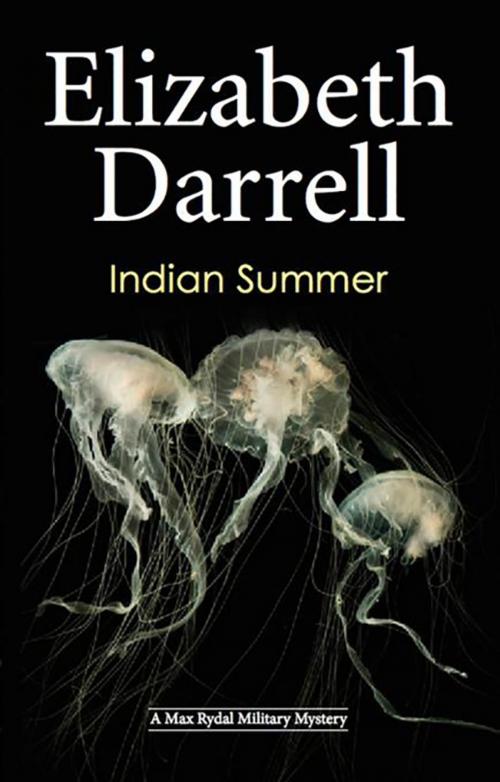 Cover of the book Indian Summer by Elizabeth Darrell, Severn House Publishers