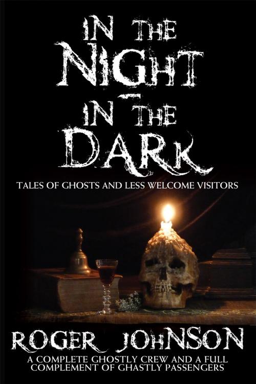 Cover of the book In the Night In the Dark by Roger Johnson, Andrews UK