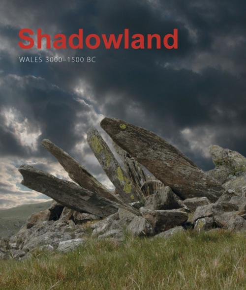 Cover of the book Shadowland by Stephen Burrow, Oxbow Books