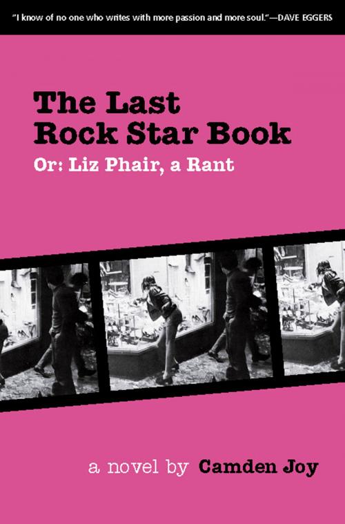 Cover of the book The Last Rock Star Book by Camden Joy, Verse Chorus Press