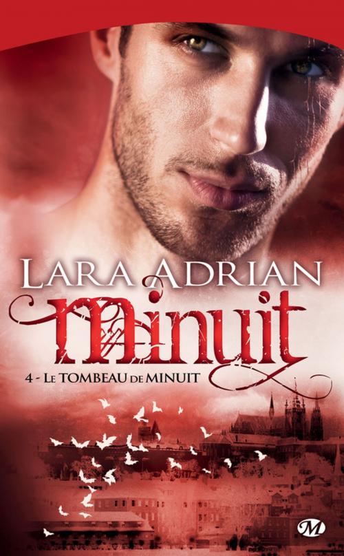 Cover of the book Le Tombeau de minuit by Lara Adrian, Milady