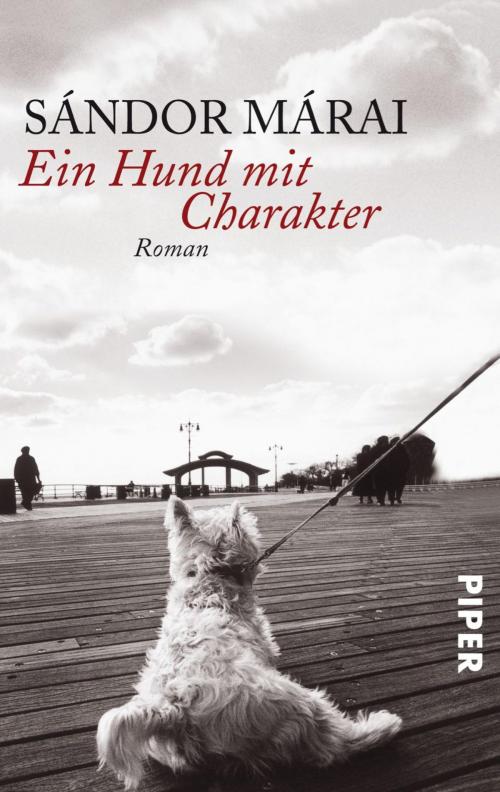 Cover of the book Ein Hund mit Charakter by Sándor Márai, Piper ebooks