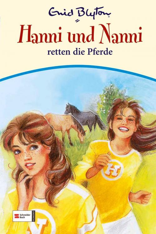 Cover of the book Hanni & Nanni, Band 19 by Enid Blyton, Egmont Schneiderbuch.digital