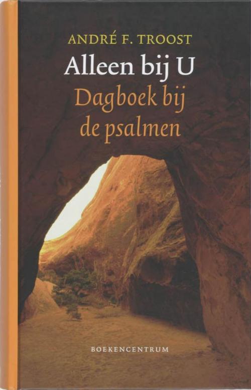 Cover of the book Alleen bij U by Andre Troost, VBK Media