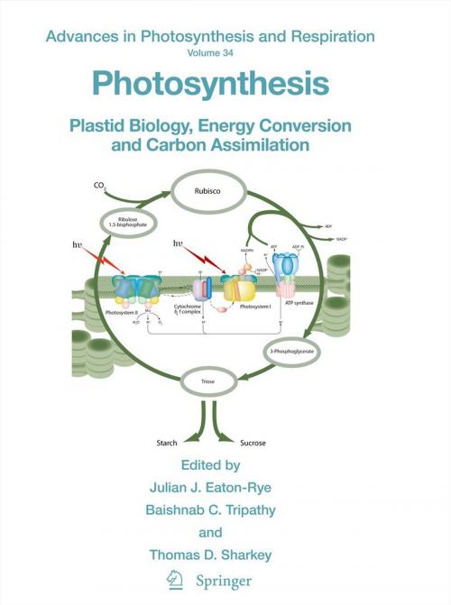 Cover of the book Photosynthesis by , Springer Netherlands