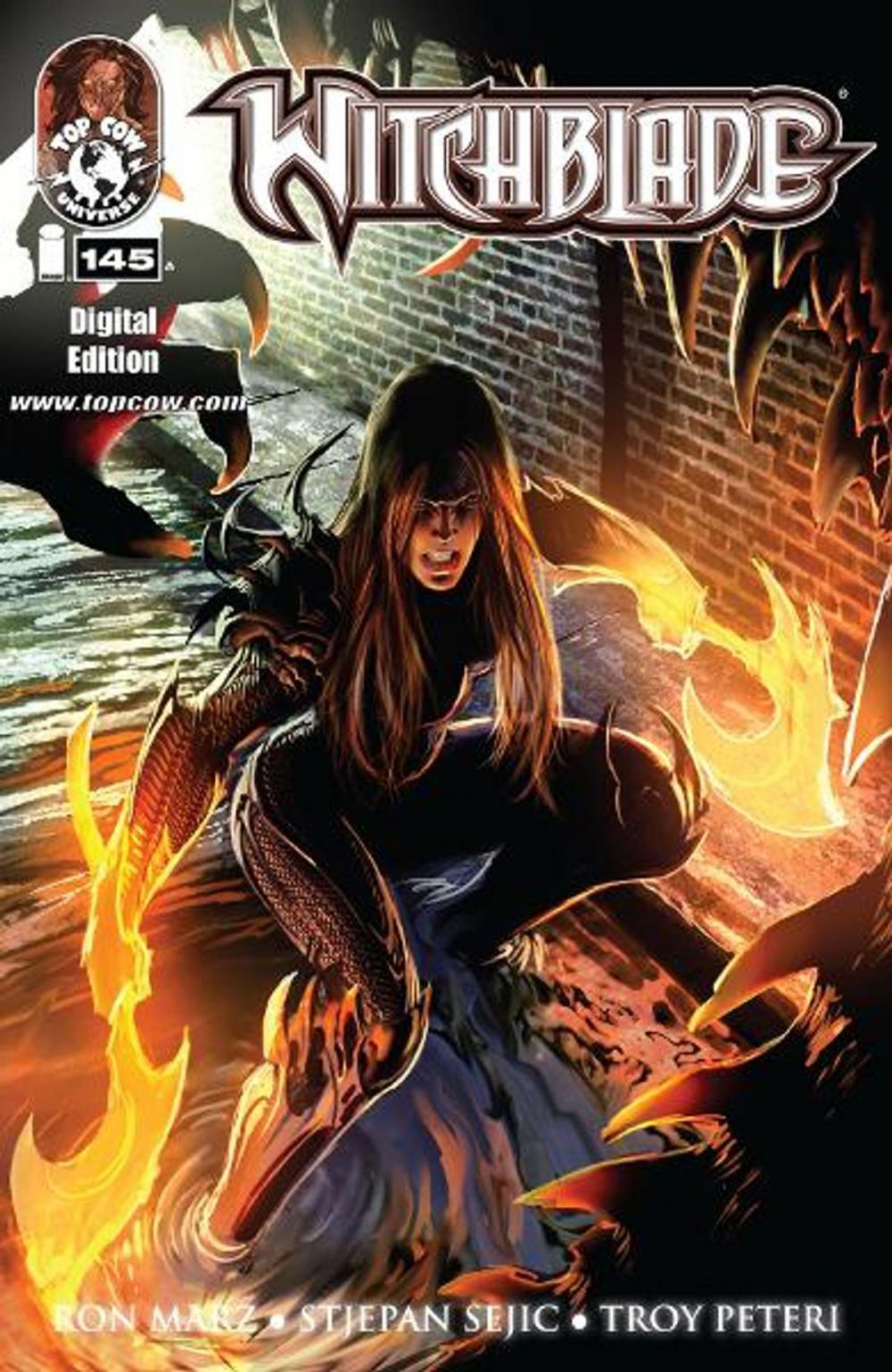 Big bigCover of Witchblade #145