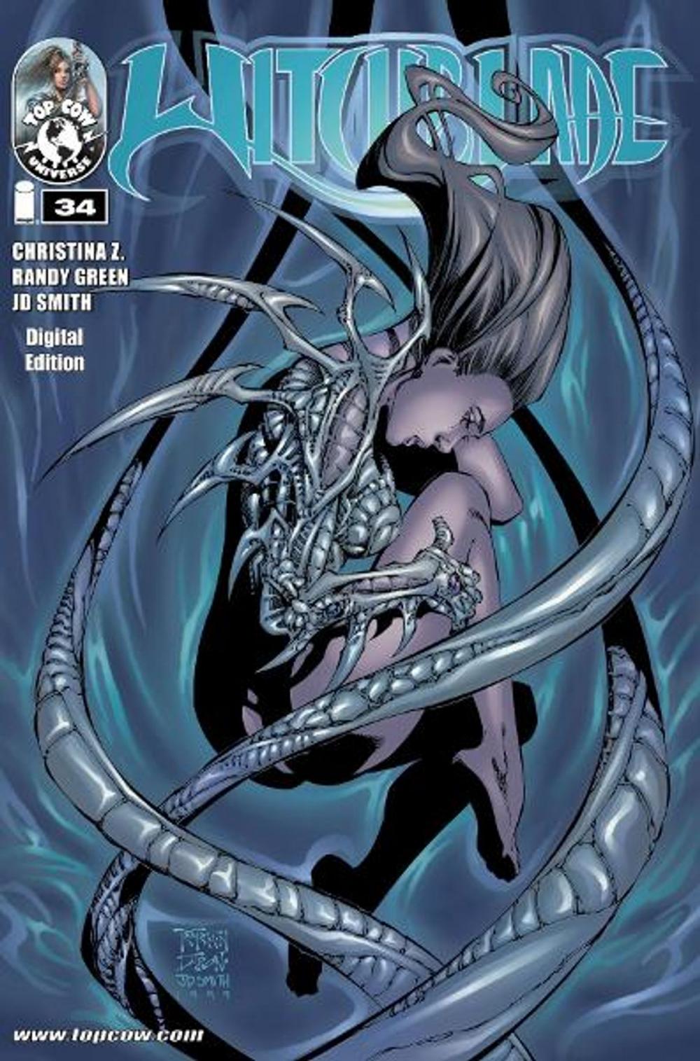 Big bigCover of Witchblade #34