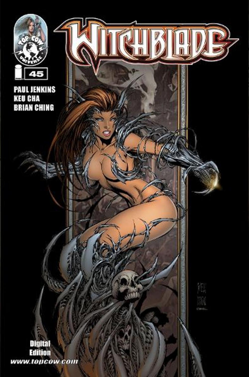 Big bigCover of Witchblade #45