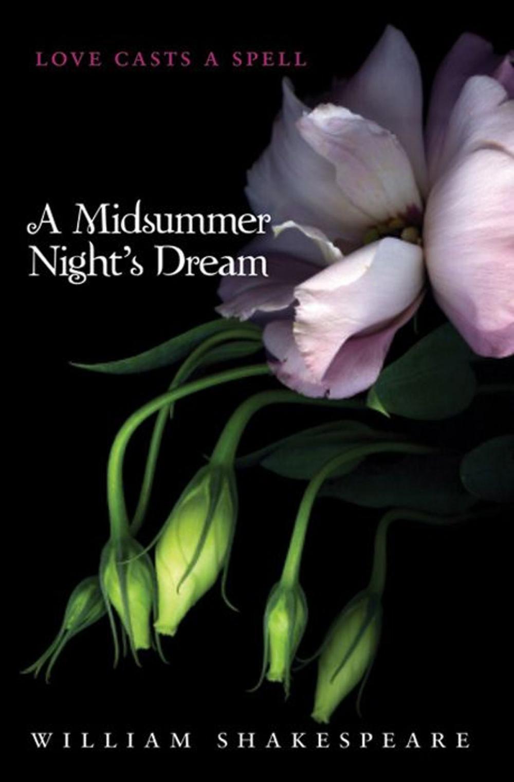 Big bigCover of A Midsummer Night's Dream