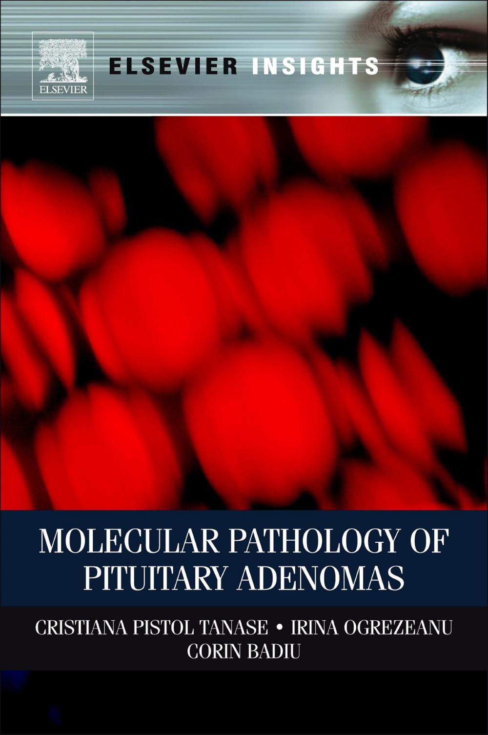 Big bigCover of Molecular Pathology of Pituitary Adenomas