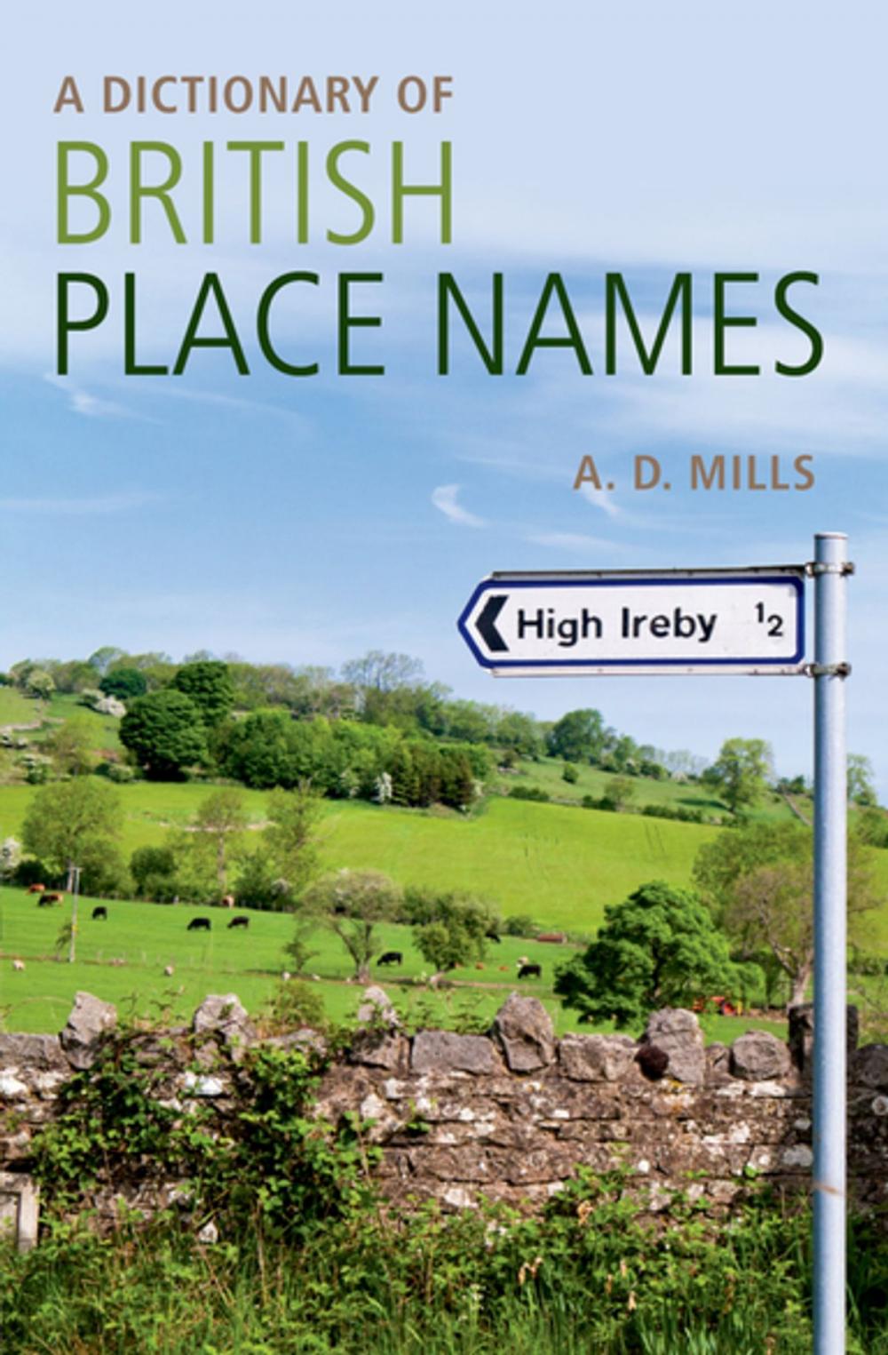 Big bigCover of A Dictionary of British Place-Names