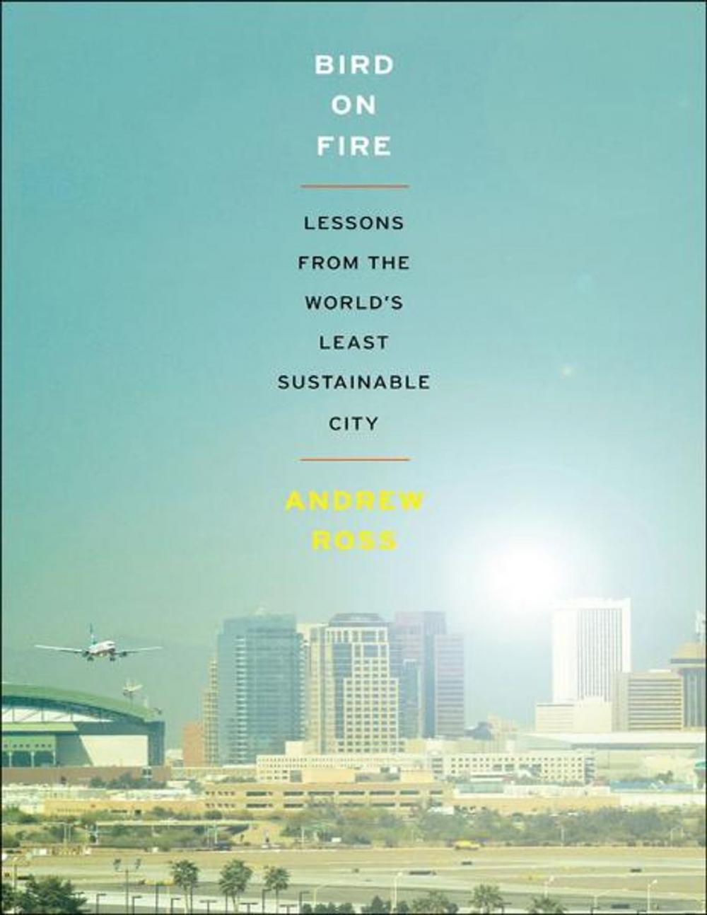 Big bigCover of Bird on Fire:Lessons from the World's Least Sustainable City