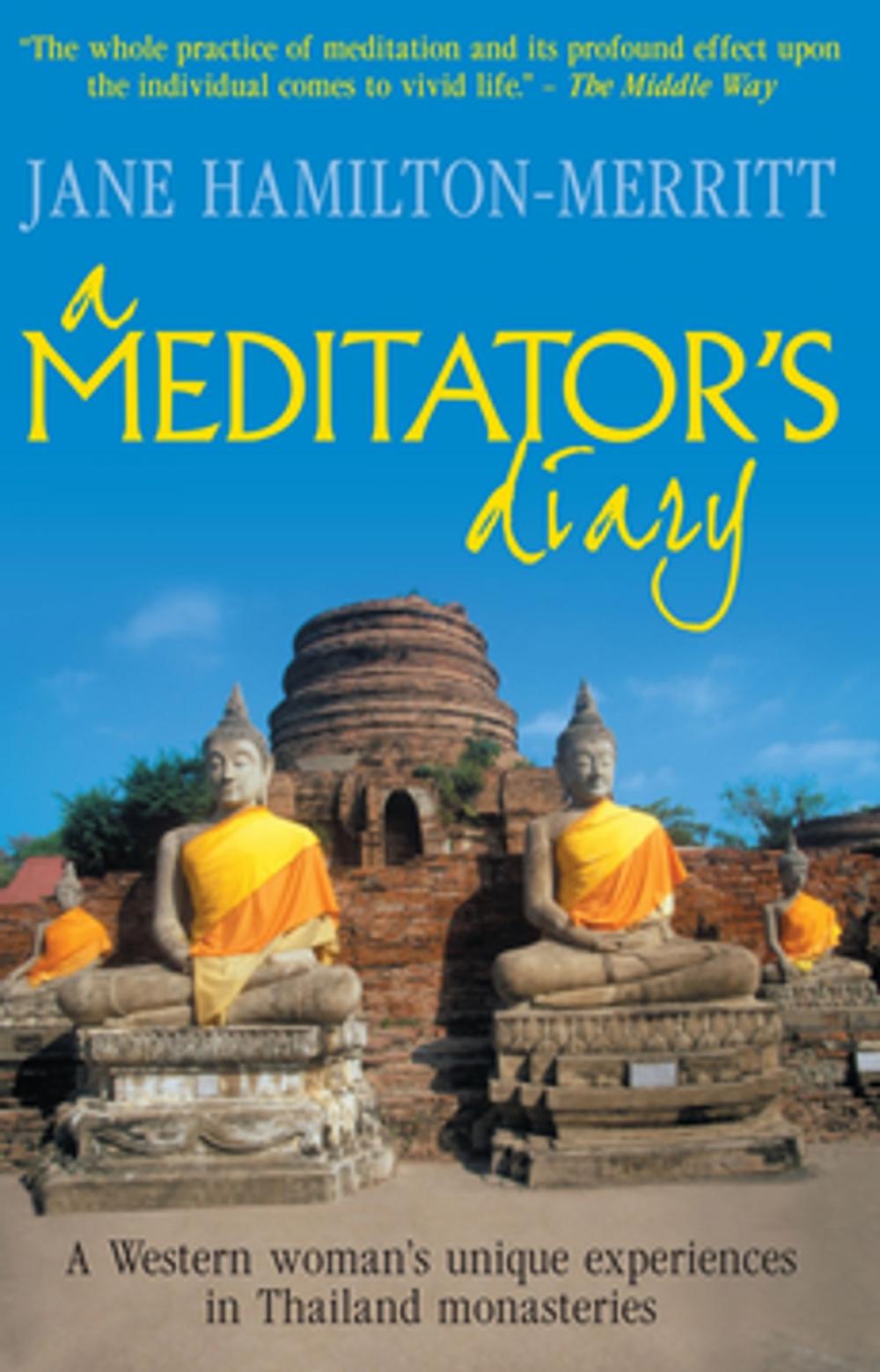 Big bigCover of A Meditator's Diary