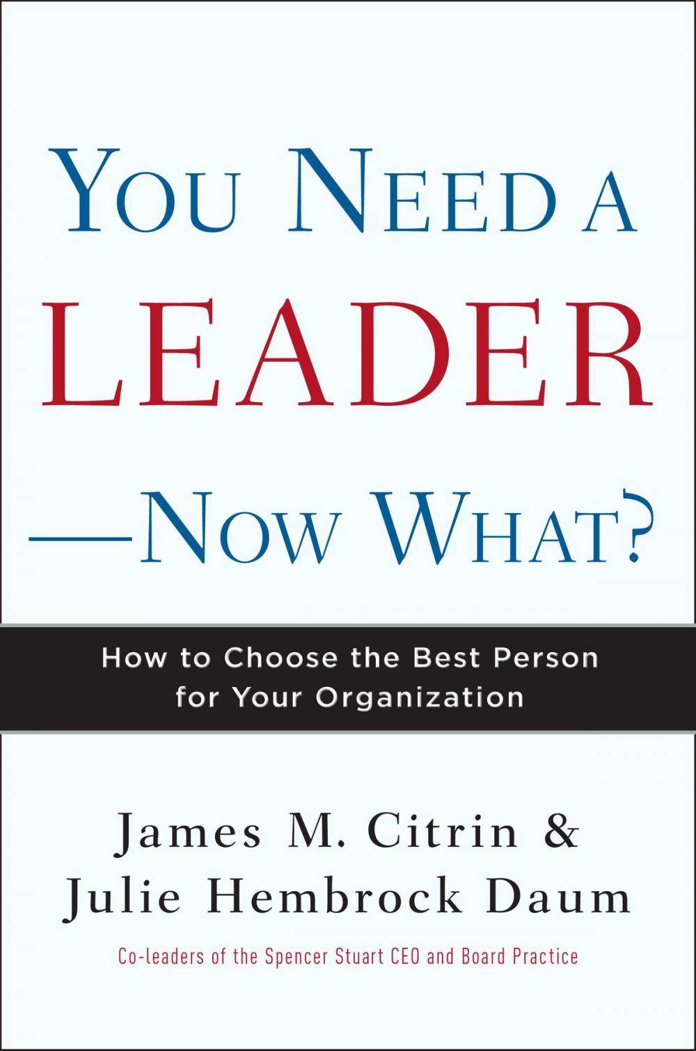 Big bigCover of You Need a Leader--Now What?