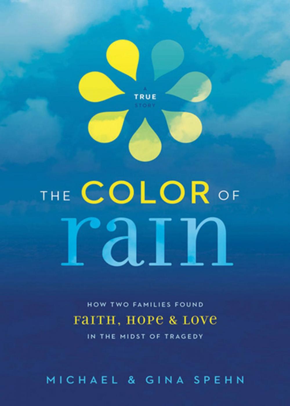 Big bigCover of The Color of Rain