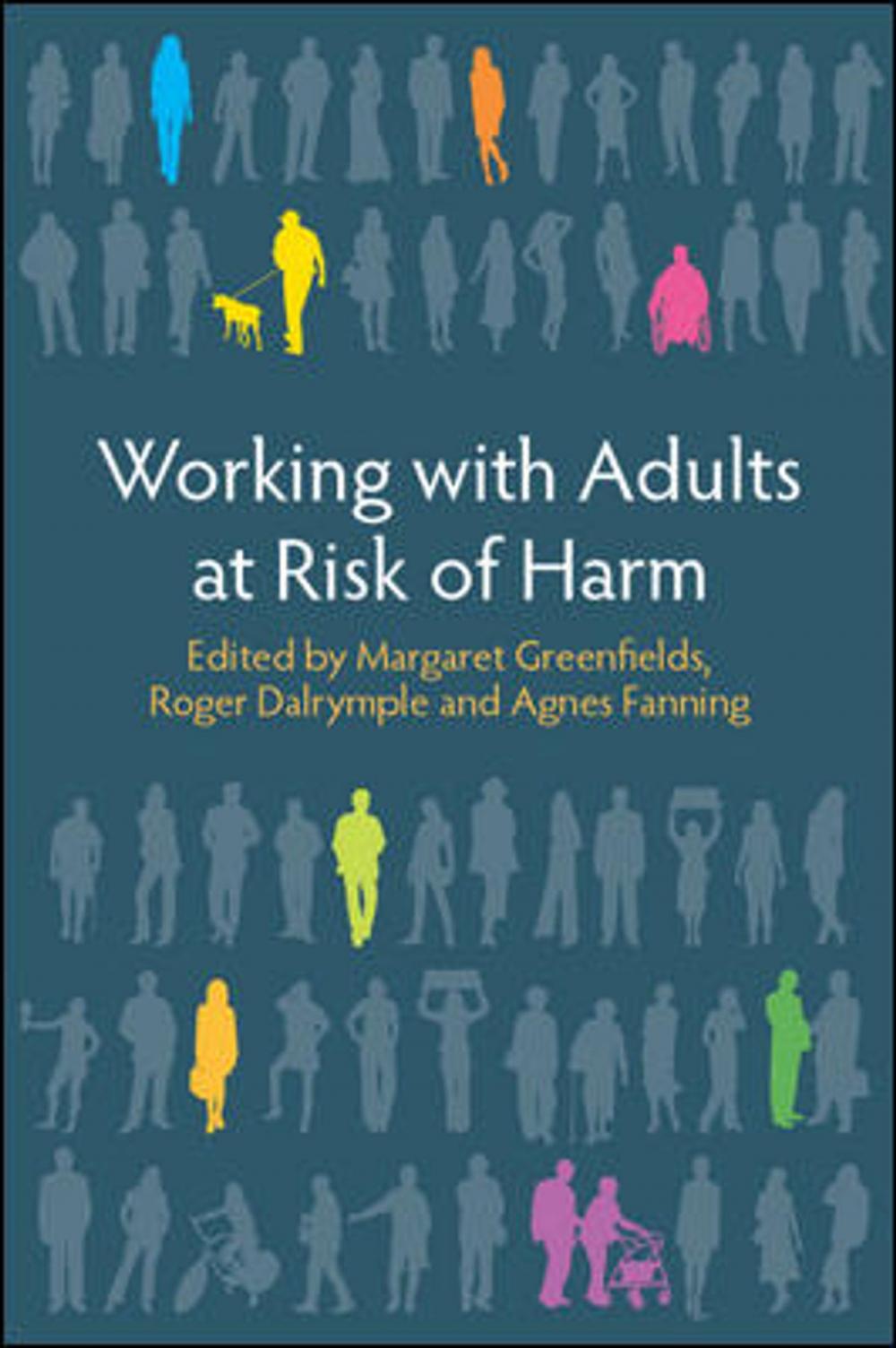 Big bigCover of Working With Adults At Risk From Harm