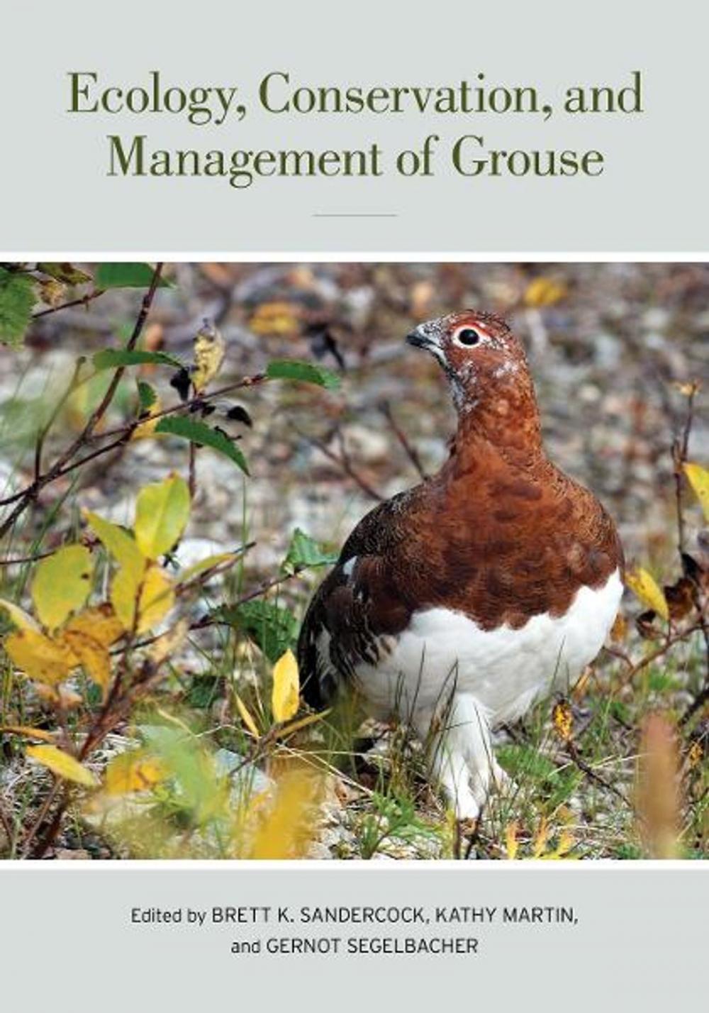 Big bigCover of Ecology, Conservation, and Management of Grouse