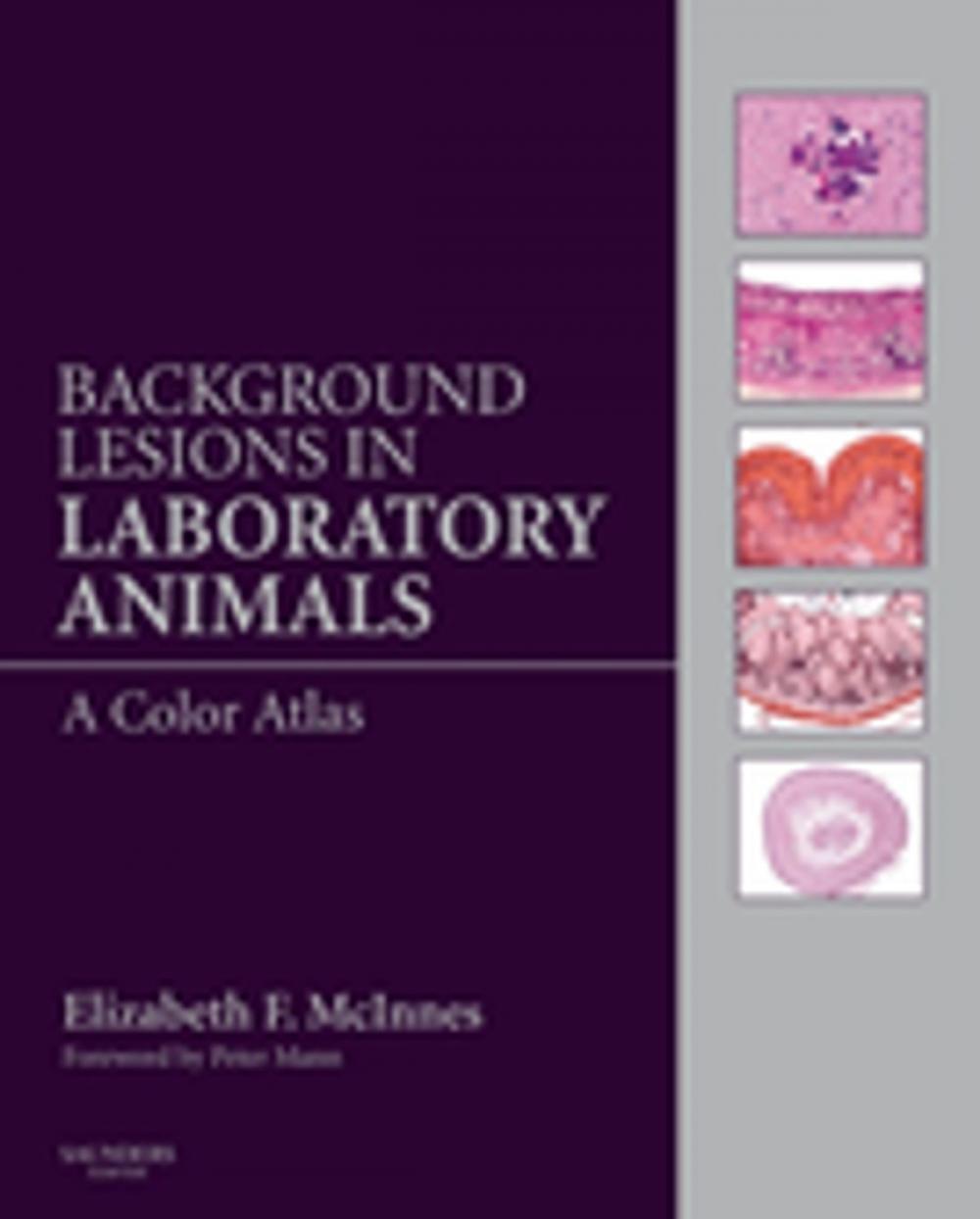 Big bigCover of Background Lesions in Laboratory Animals E-Book