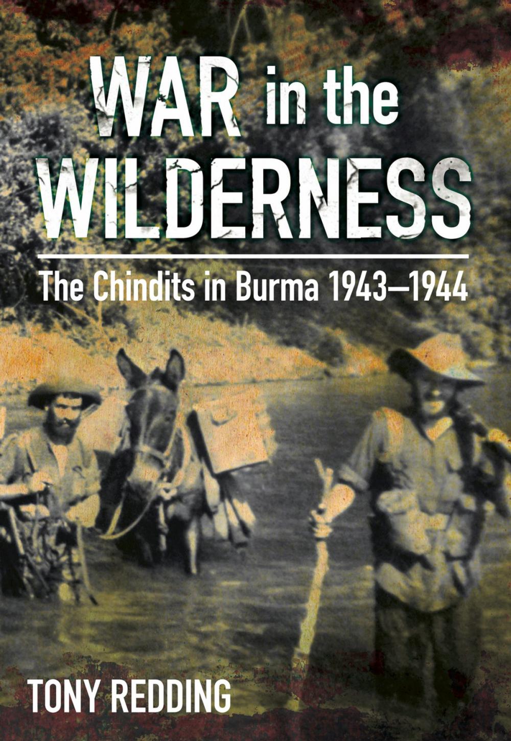 Big bigCover of War in the Wilderness