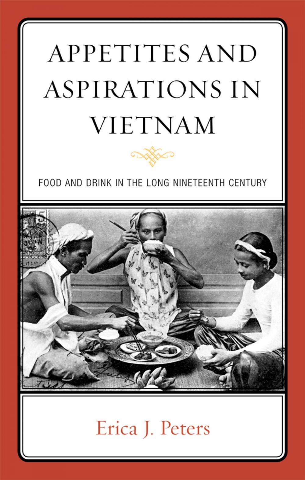 Big bigCover of Appetites and Aspirations in Vietnam