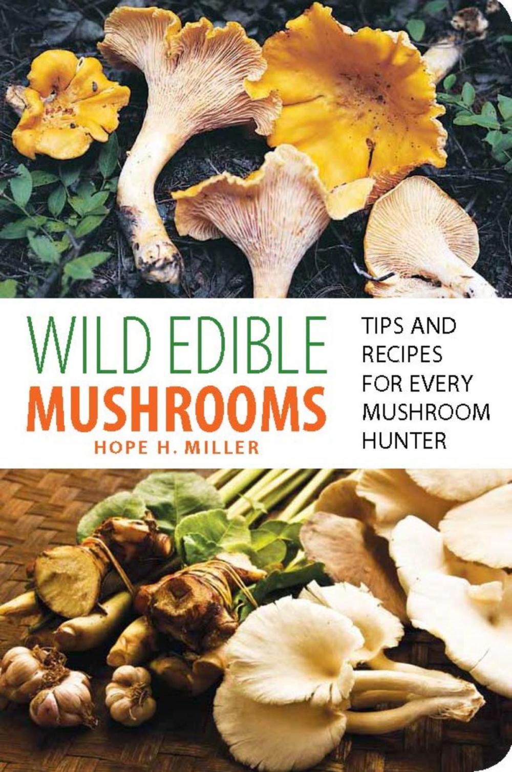 Big bigCover of Wild Edible Mushrooms