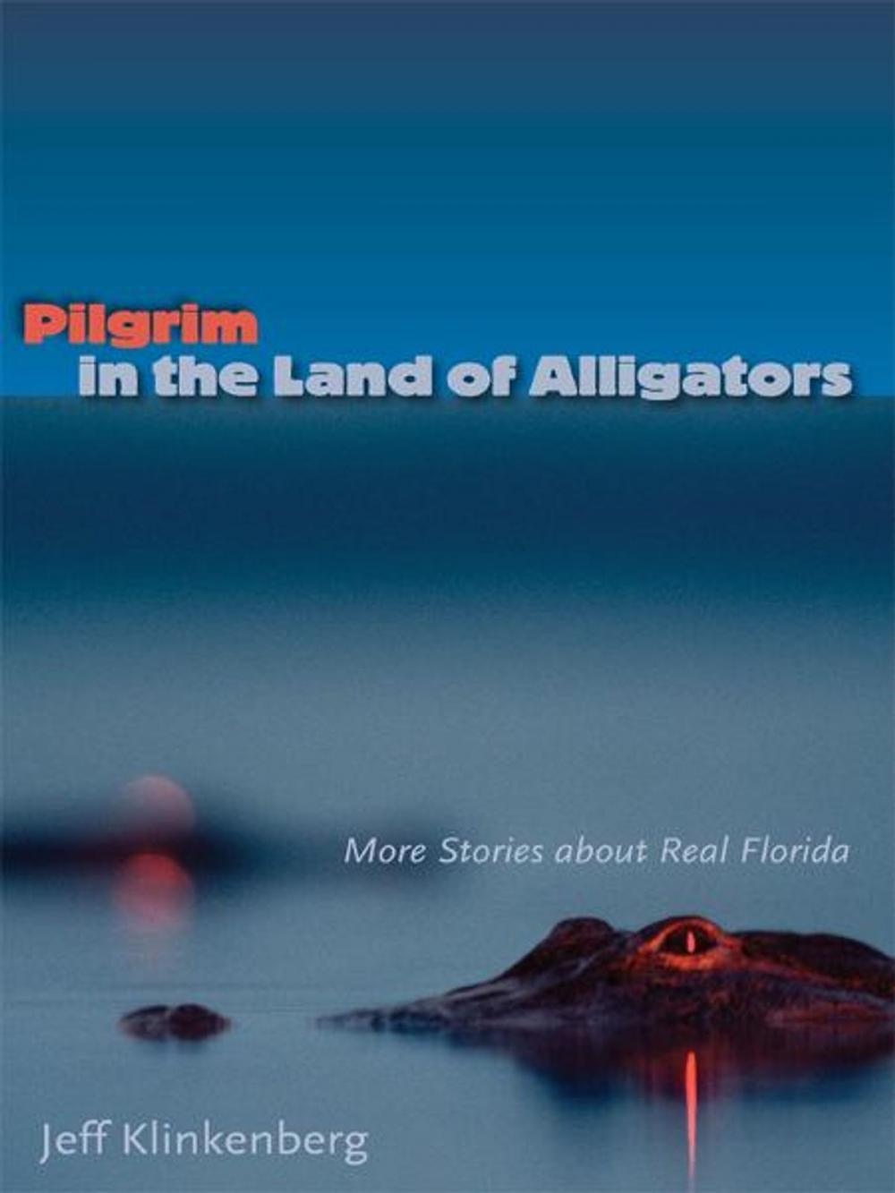 Big bigCover of Pilgrim in the Land of Alligators: More Stories about Real Florida