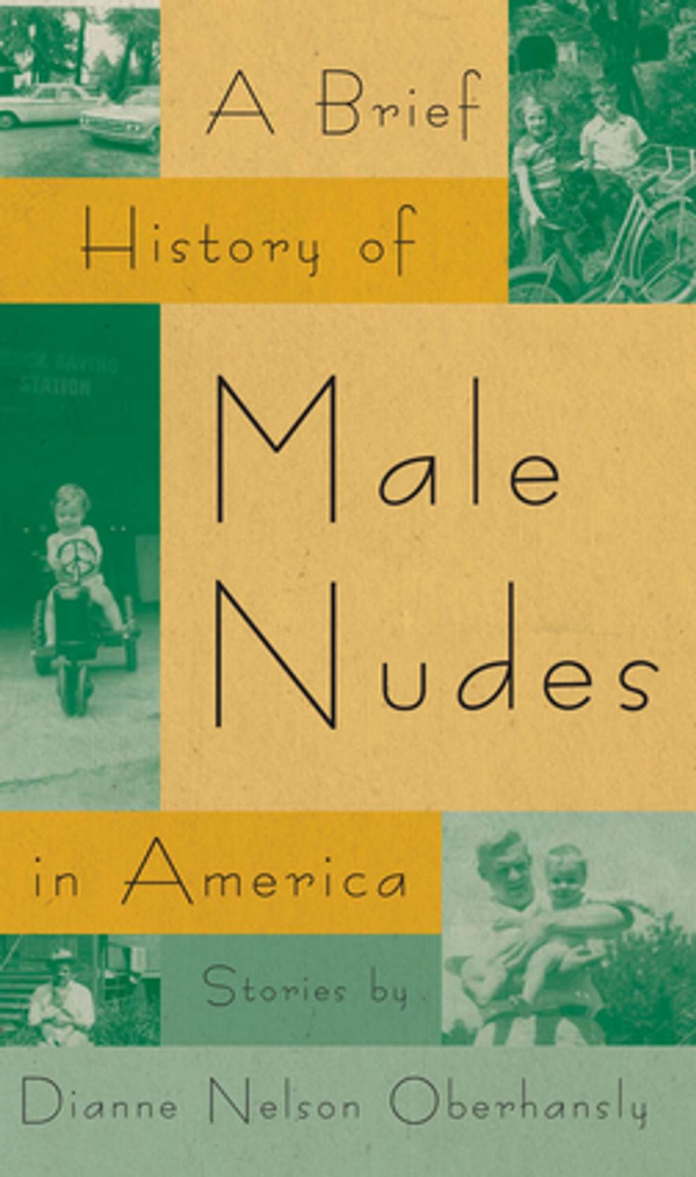 Big bigCover of A Brief History of Male Nudes in America