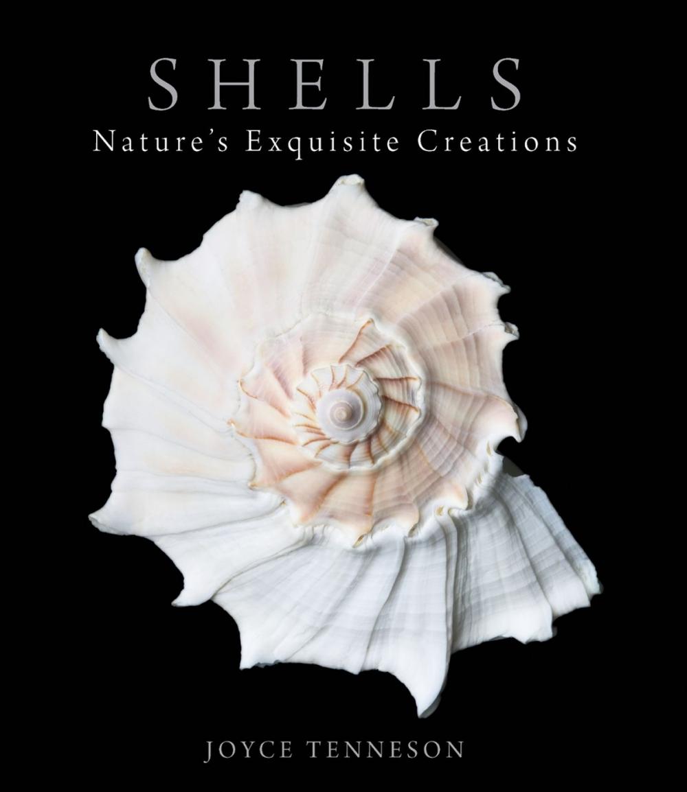 Big bigCover of Shells