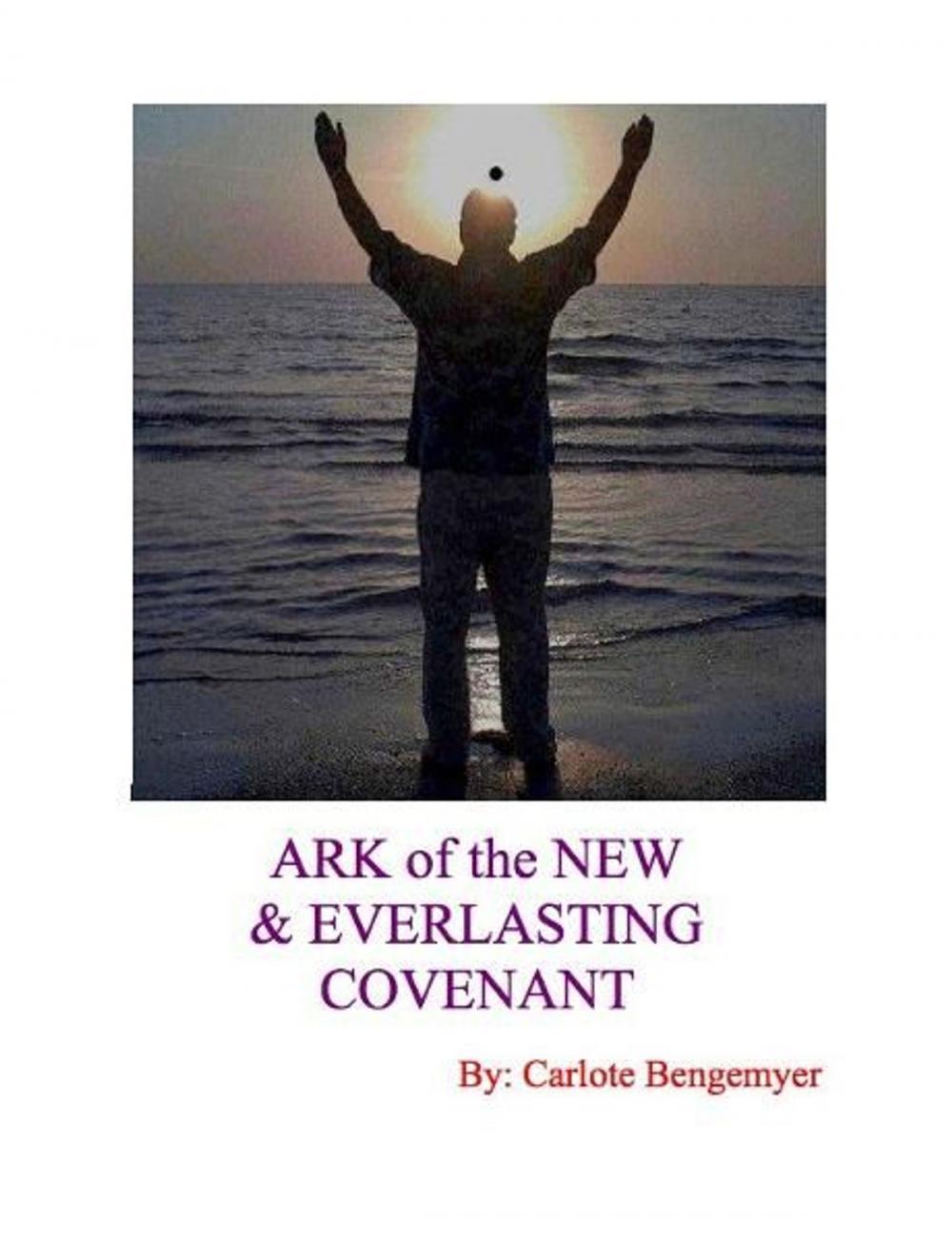 Big bigCover of Ark of the New and Everlasting Covenant