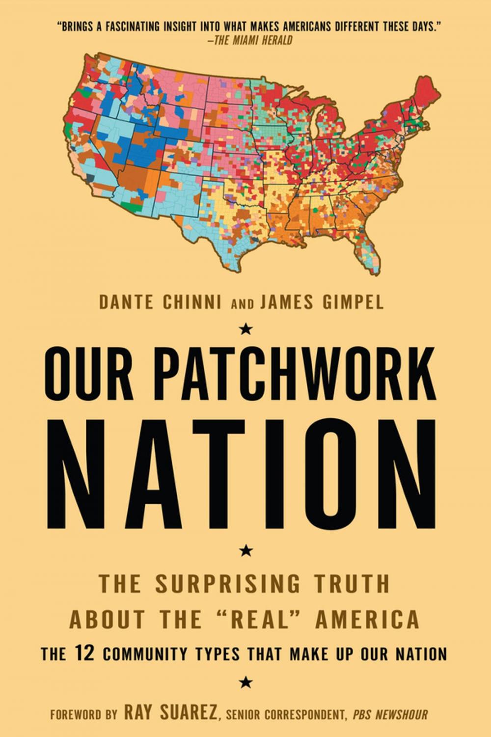 Big bigCover of Our Patchwork Nation