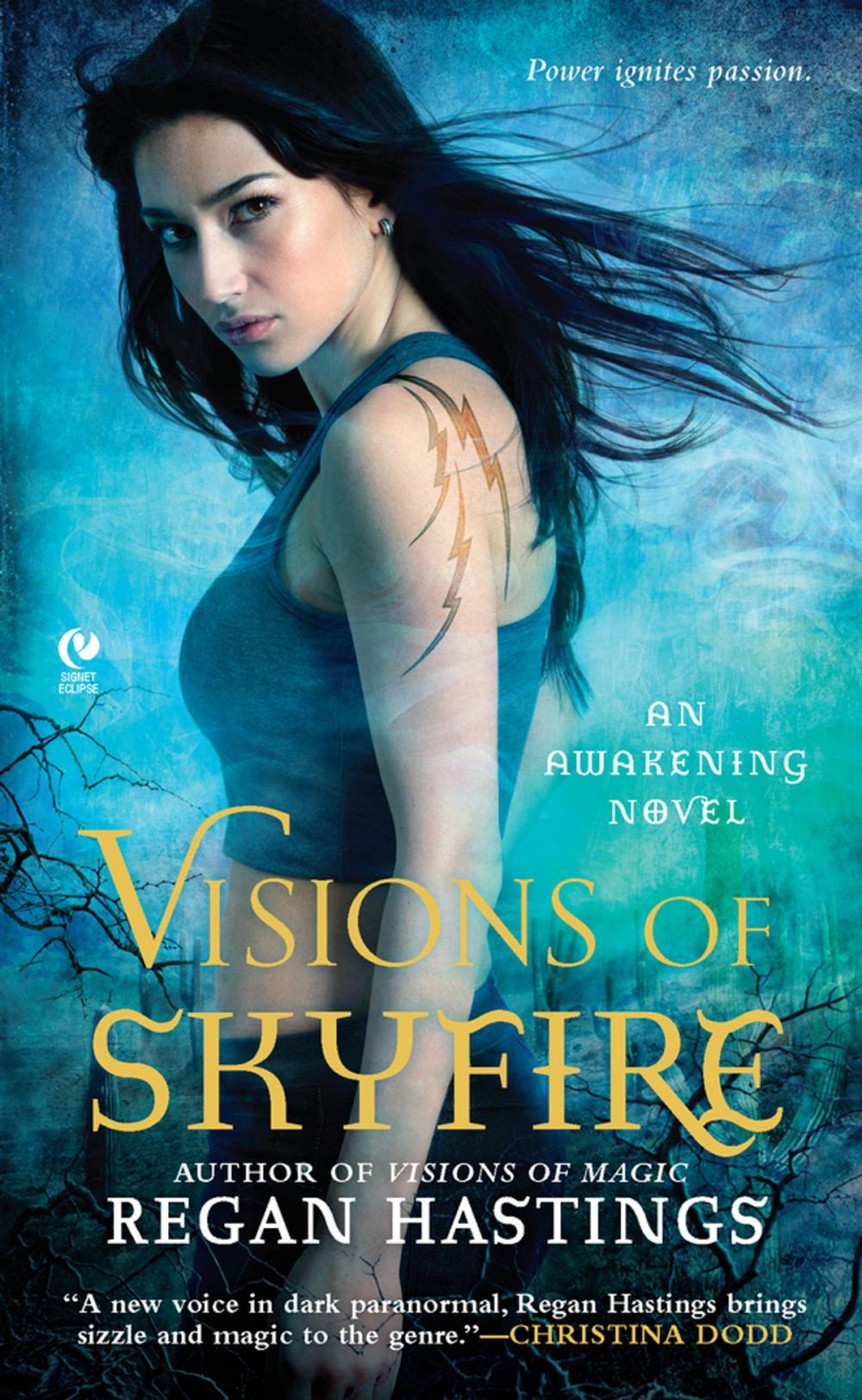 Big bigCover of Visions of Skyfire