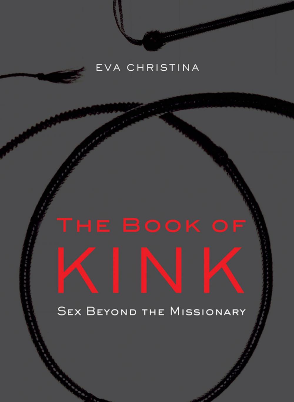 Big bigCover of The Book of Kink