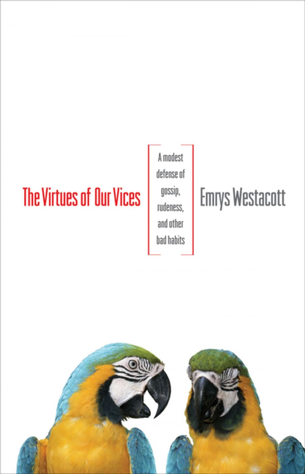 Big bigCover of The Virtues of Our Vices