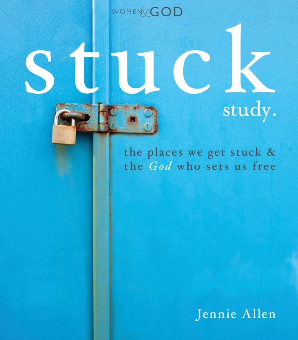 Big bigCover of Stuck Study Guide