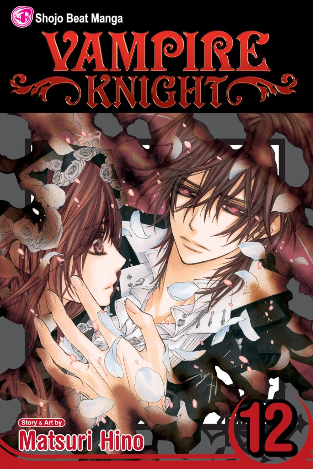 Big bigCover of Vampire Knight, Vol. 12