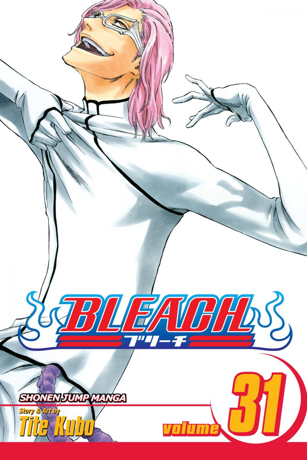 Big bigCover of Bleach, Vol. 31