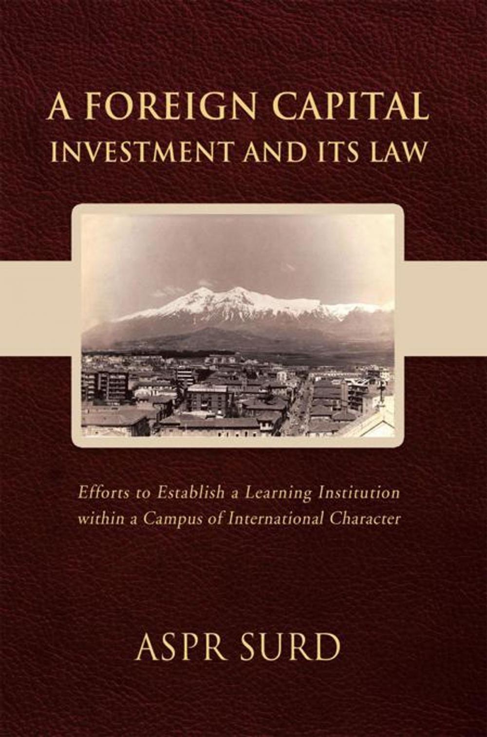 Big bigCover of A Foreign Capital Investment and Its Law