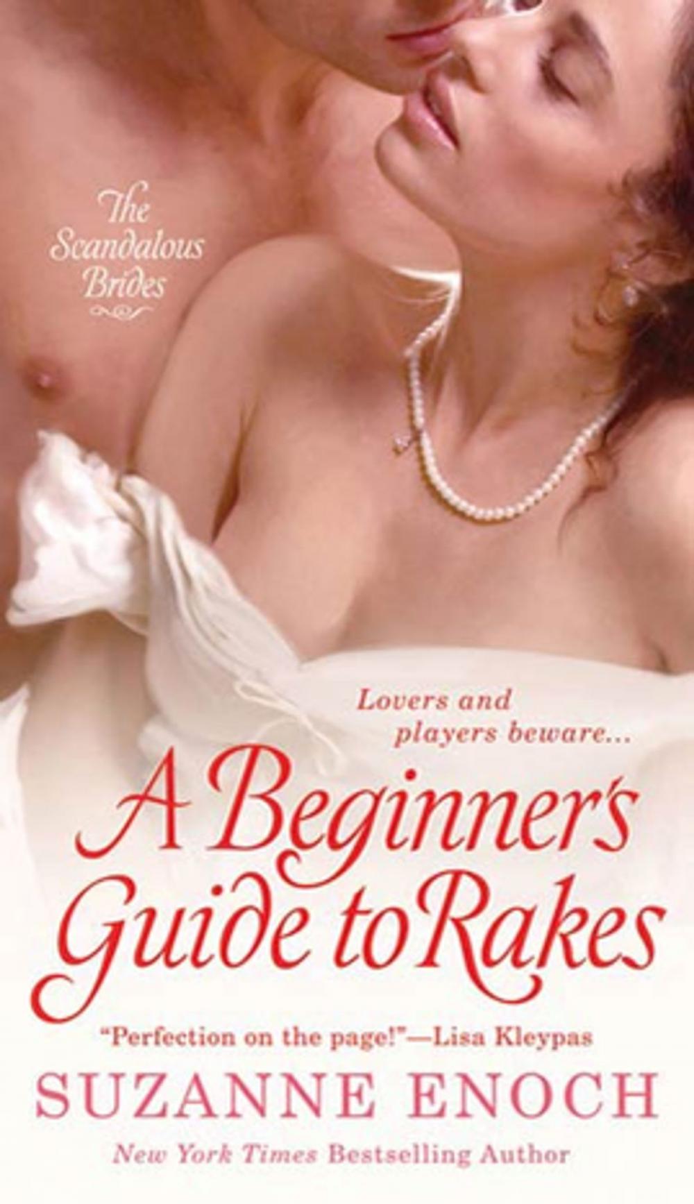 Big bigCover of A Beginner's Guide to Rakes