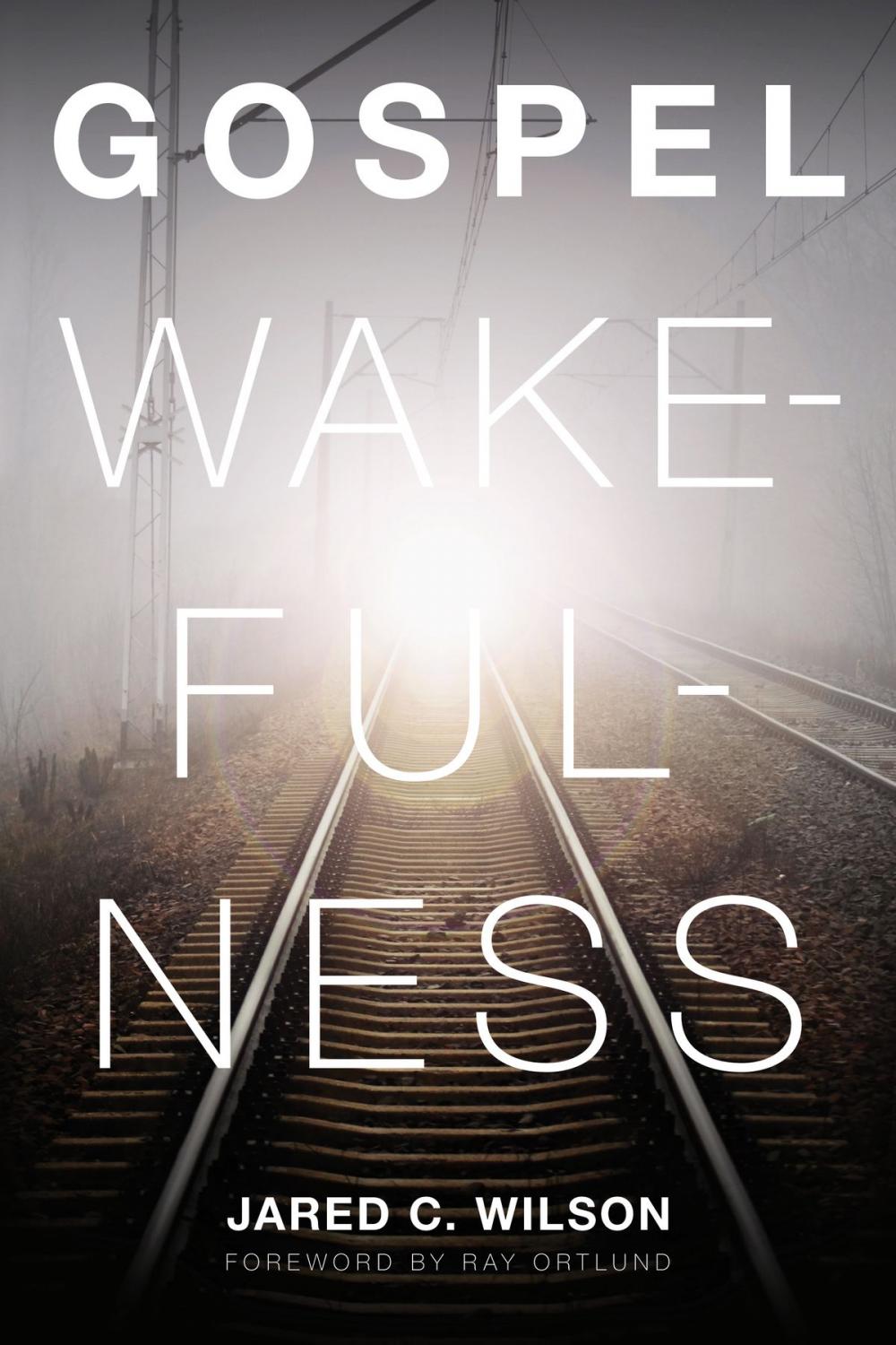 Big bigCover of Gospel Wakefulness (Foreword by Ray Ortlund)