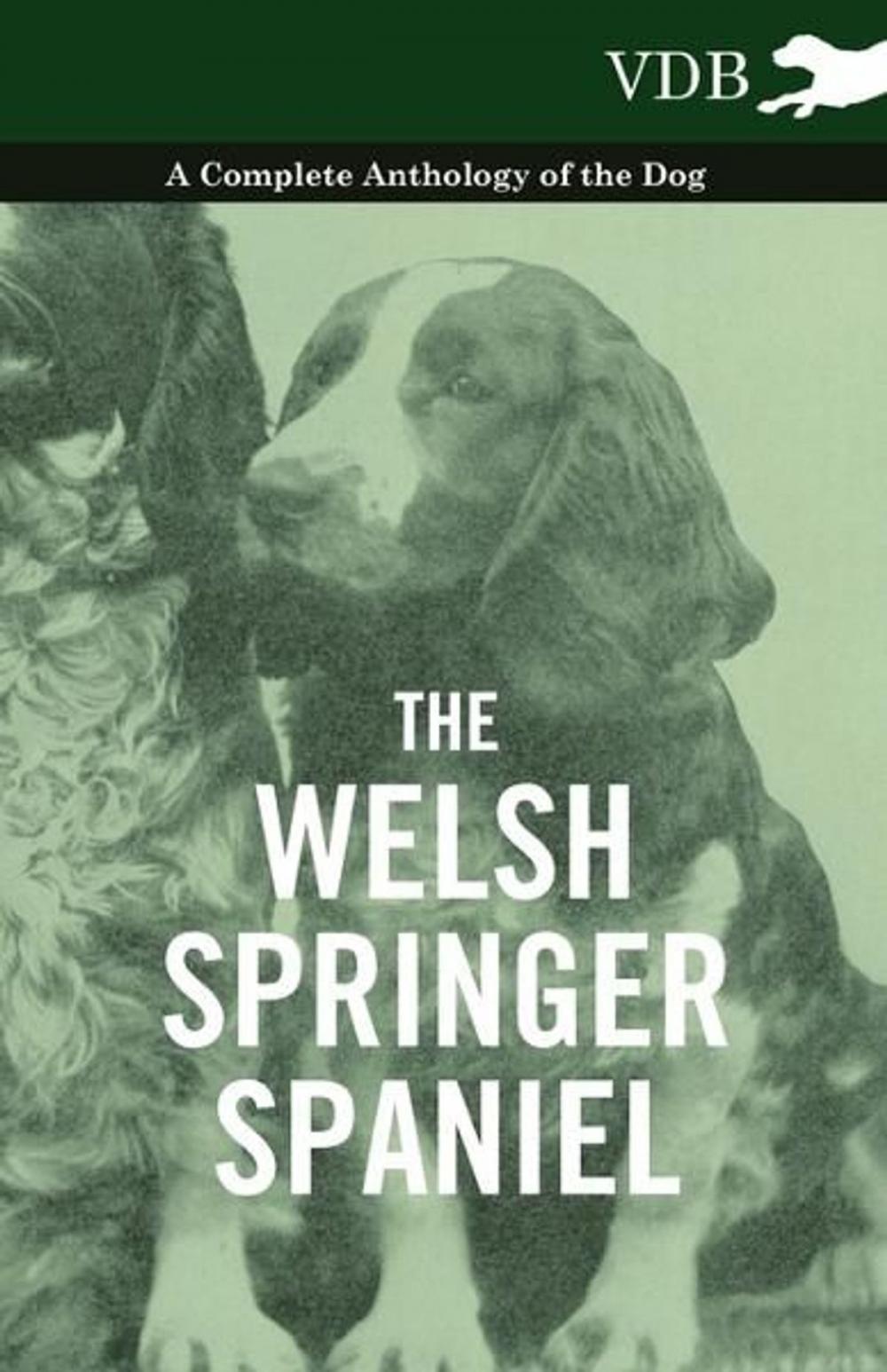 Big bigCover of The Welsh Springer Spaniel - A Complete Anthology of the Dog