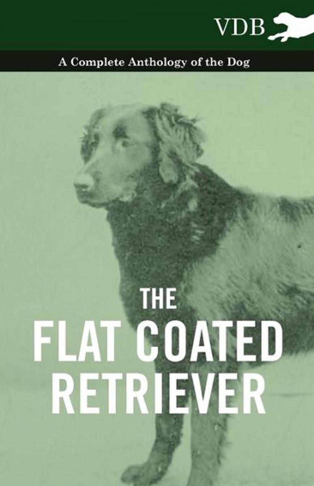 Big bigCover of The Flat Coated Retriever - A Complete Anthology of the Dog