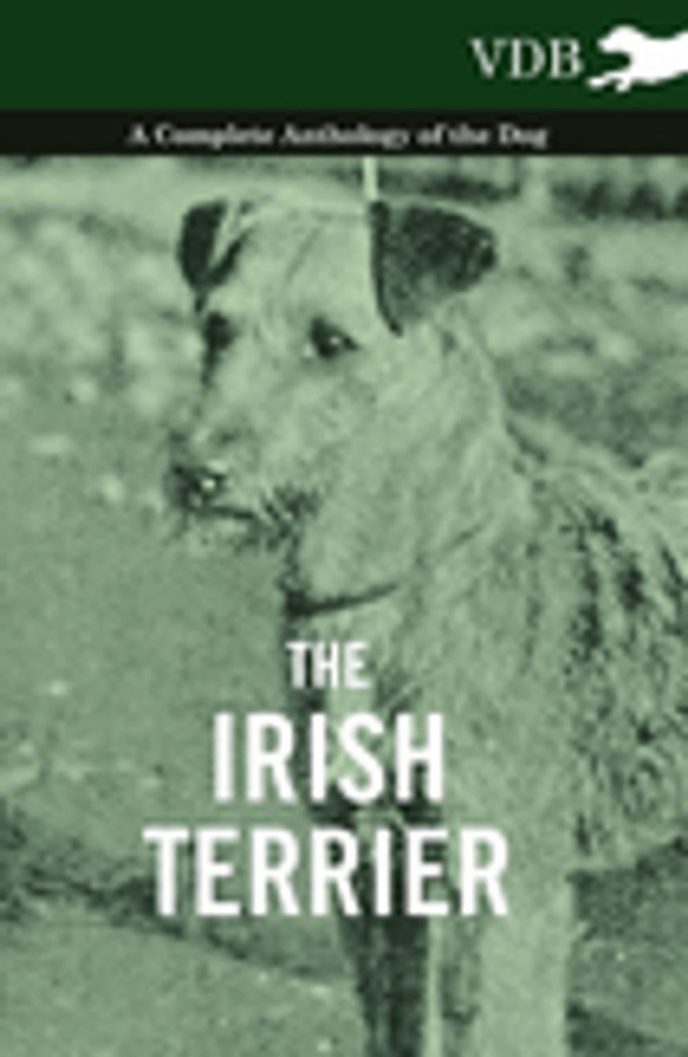 Big bigCover of The Irish Terrier - A Complete Anthology of the Dog