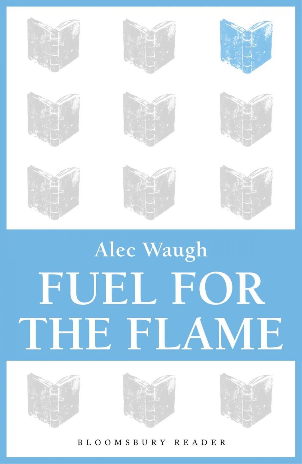 Big bigCover of Fuel for the Flame