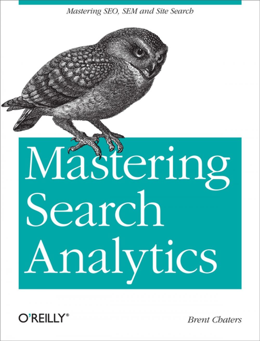 Big bigCover of Mastering Search Analytics