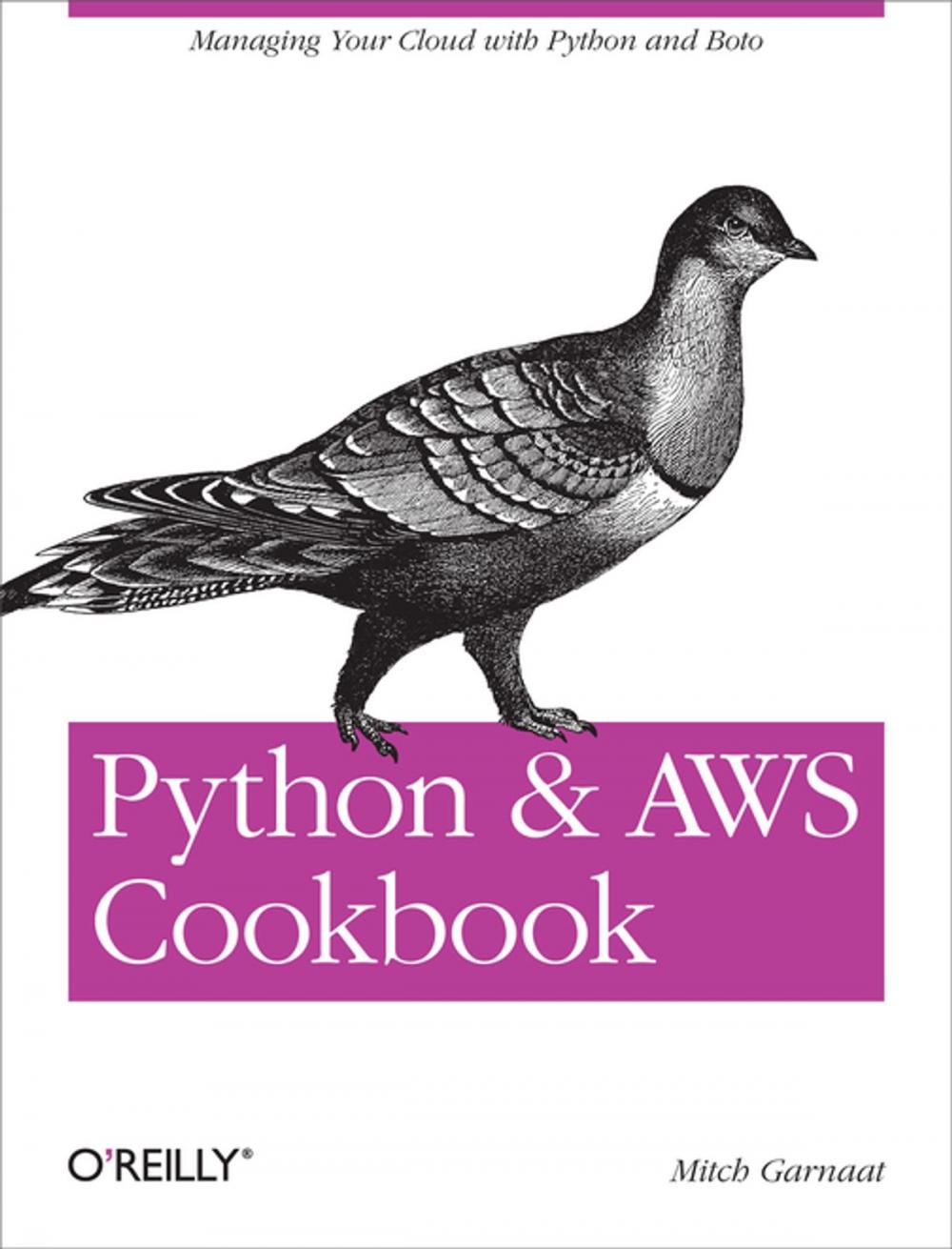 Big bigCover of Python and AWS Cookbook