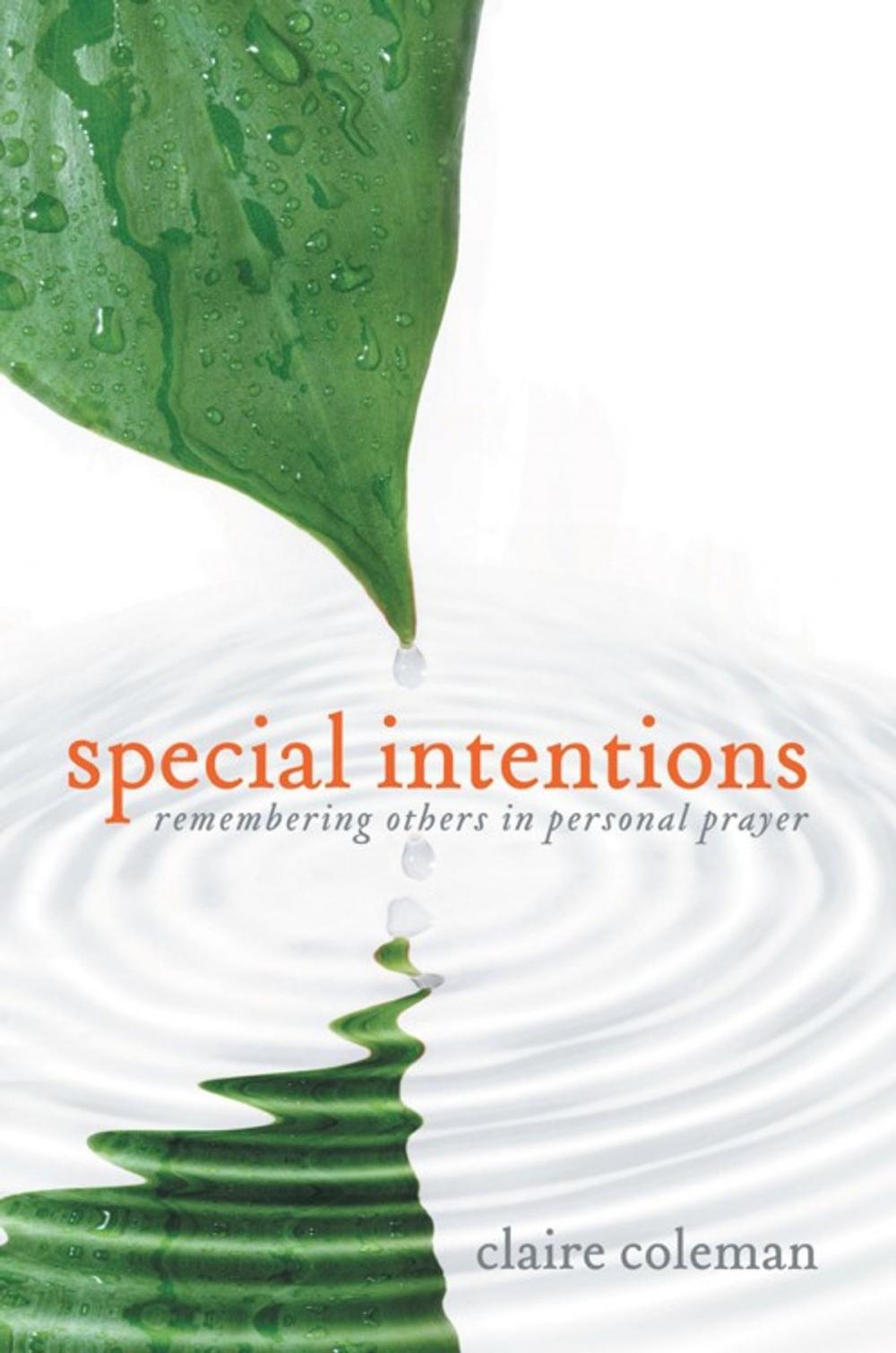 Big bigCover of Special Intentions